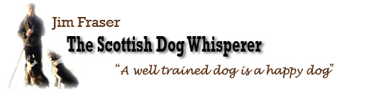 Jim Fraser, the Scottish Dog Whisperer
