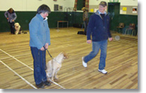 Jim has a hands on approach to training both the dogs and their owners
